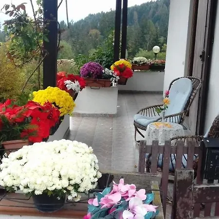 Chanel Guest house